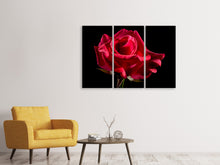 Laden Sie das Bild in den Galerie-Viewer, Leinwandbild 3-teilig Die Blume der Liebe