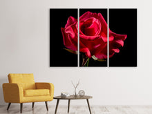 Laden Sie das Bild in den Galerie-Viewer, Leinwandbild 3-teilig Die Blume der Liebe