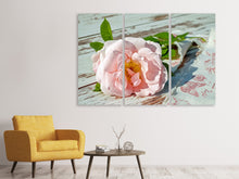 Laden Sie das Bild in den Galerie-Viewer, Leinwandbild 3-teilig Wildrose in rosa