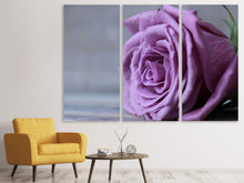 Laden Sie das Bild in den Galerie-Viewer, Leinwandbild 3-teilig Rose in Lila XXL