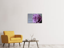 Laden Sie das Bild in den Galerie-Viewer, Leinwandbild 3-teilig Rose in Lila XXL