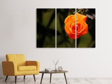 Laden Sie das Bild in den Galerie-Viewer, Leinwandbild 3-teilig Die Blüte der Rose