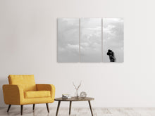 Laden Sie das Bild in den Galerie-Viewer, Leinwandbild 3-teilig In den Wolken