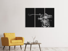 Laden Sie das Bild in den Galerie-Viewer, Leinwandbild 3-teilig Das Gitarren Spiel