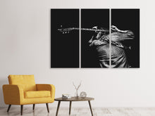 Laden Sie das Bild in den Galerie-Viewer, Leinwandbild 3-teilig Das Gitarren Spiel