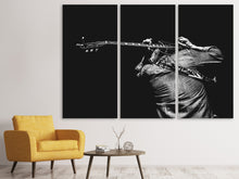 Laden Sie das Bild in den Galerie-Viewer, Leinwandbild 3-teilig Das Gitarren Spiel