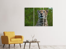 Laden Sie das Bild in den Galerie-Viewer, Leinwandbild 3-teilig Wachsamer Gepard