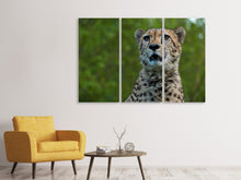 Laden Sie das Bild in den Galerie-Viewer, Leinwandbild 3-teilig Wachsamer Gepard