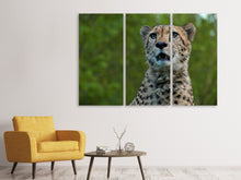 Laden Sie das Bild in den Galerie-Viewer, Leinwandbild 3-teilig Wachsamer Gepard