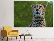 Laden Sie das Bild in den Galerie-Viewer, Leinwandbild 3-teilig Wachsamer Gepard
