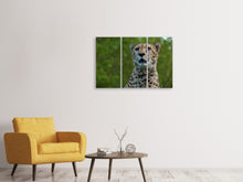 Laden Sie das Bild in den Galerie-Viewer, Leinwandbild 3-teilig Wachsamer Gepard