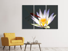 Laden Sie das Bild in den Galerie-Viewer, Leinwandbild 3-teilig Die Libelle auf der Blüte