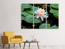 Laden Sie das Bild in den Galerie-Viewer, Leinwandbild 3-teilig Die stolze Seerose