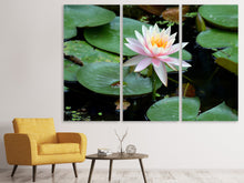 Laden Sie das Bild in den Galerie-Viewer, Leinwandbild 3-teilig Die stolze Seerose