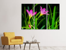 Laden Sie das Bild in den Galerie-Viewer, Leinwandbild 3-teilig Blüten in der Natur