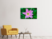 Laden Sie das Bild in den Galerie-Viewer, Leinwandbild 3-teilig Close up rosa Blüte