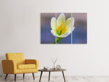Laden Sie das Bild in den Galerie-Viewer, Leinwandbild 3-teilig Close up gelbe Blüte