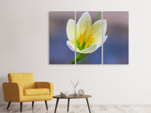 Laden Sie das Bild in den Galerie-Viewer, Leinwandbild 3-teilig Close up gelbe Blüte