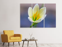 Laden Sie das Bild in den Galerie-Viewer, Leinwandbild 3-teilig Close up gelbe Blüte