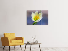 Laden Sie das Bild in den Galerie-Viewer, Leinwandbild 3-teilig Close up gelbe Blüte
