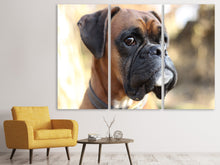 Laden Sie das Bild in den Galerie-Viewer, Leinwandbild 3-teilig Der Boxer Blick