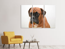Laden Sie das Bild in den Galerie-Viewer, Leinwandbild 3-teilig Der Boxer