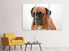 Laden Sie das Bild in den Galerie-Viewer, Leinwandbild 3-teilig Der Boxer