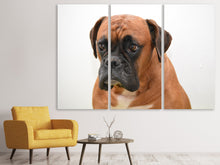 Laden Sie das Bild in den Galerie-Viewer, Leinwandbild 3-teilig Der Boxer
