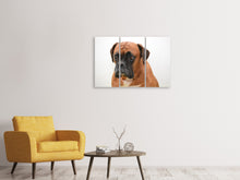 Laden Sie das Bild in den Galerie-Viewer, Leinwandbild 3-teilig Der Boxer