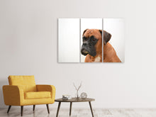 Laden Sie das Bild in den Galerie-Viewer, Leinwandbild 3-teilig Boxer - der Aufpasser