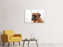 Laden Sie das Bild in den Galerie-Viewer, Leinwandbild 3-teilig Boxer - der Aufpasser