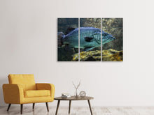 Laden Sie das Bild in den Galerie-Viewer, Leinwandbild 3-teilig Grosser Fisch