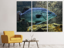 Laden Sie das Bild in den Galerie-Viewer, Leinwandbild 3-teilig Grosser Fisch