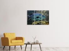 Laden Sie das Bild in den Galerie-Viewer, Leinwandbild 3-teilig Grosser Fisch