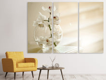 Laden Sie das Bild in den Galerie-Viewer, Leinwandbild 3-teilig Orchidee im Glas