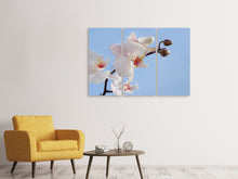 Laden Sie das Bild in den Galerie-Viewer, Leinwandbild 3-teilig Orchidee im Himmel