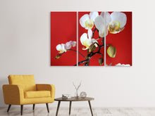 Laden Sie das Bild in den Galerie-Viewer, Leinwandbild 3-teilig Weisse Orchideen auf roter Wand