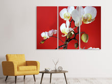 Laden Sie das Bild in den Galerie-Viewer, Leinwandbild 3-teilig Weisse Orchideen auf roter Wand