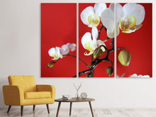 Laden Sie das Bild in den Galerie-Viewer, Leinwandbild 3-teilig Weisse Orchideen auf roter Wand