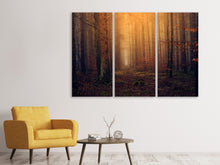 Laden Sie das Bild in den Galerie-Viewer, Leinwandbild 3-teilig Geheimnisvoller Wald