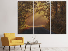 Laden Sie das Bild in den Galerie-Viewer, Leinwandbild 3-teilig Sonnenstrahlen im Wald