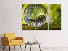 Laden Sie das Bild in den Galerie-Viewer, Leinwandbild 3-teilig Natur Kugel