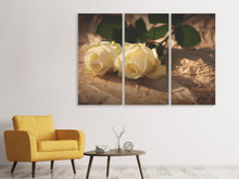 Laden Sie das Bild in den Galerie-Viewer, Leinwandbild 3-teilig Die Reinheit der Rosen
