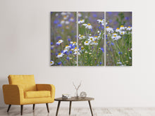 Laden Sie das Bild in den Galerie-Viewer, Leinwandbild 3-teilig Wilde Blumenwiese