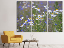 Laden Sie das Bild in den Galerie-Viewer, Leinwandbild 3-teilig Wilde Blumenwiese