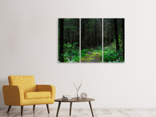 Laden Sie das Bild in den Galerie-Viewer, Leinwandbild 3-teilig Wilder Wald