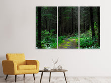 Laden Sie das Bild in den Galerie-Viewer, Leinwandbild 3-teilig Wilder Wald