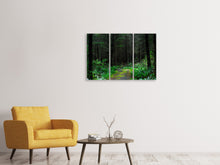 Laden Sie das Bild in den Galerie-Viewer, Leinwandbild 3-teilig Wilder Wald