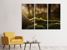 Laden Sie das Bild in den Galerie-Viewer, Leinwandbild 3-teilig Das Moos