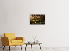Laden Sie das Bild in den Galerie-Viewer, Leinwandbild 3-teilig Das Moos